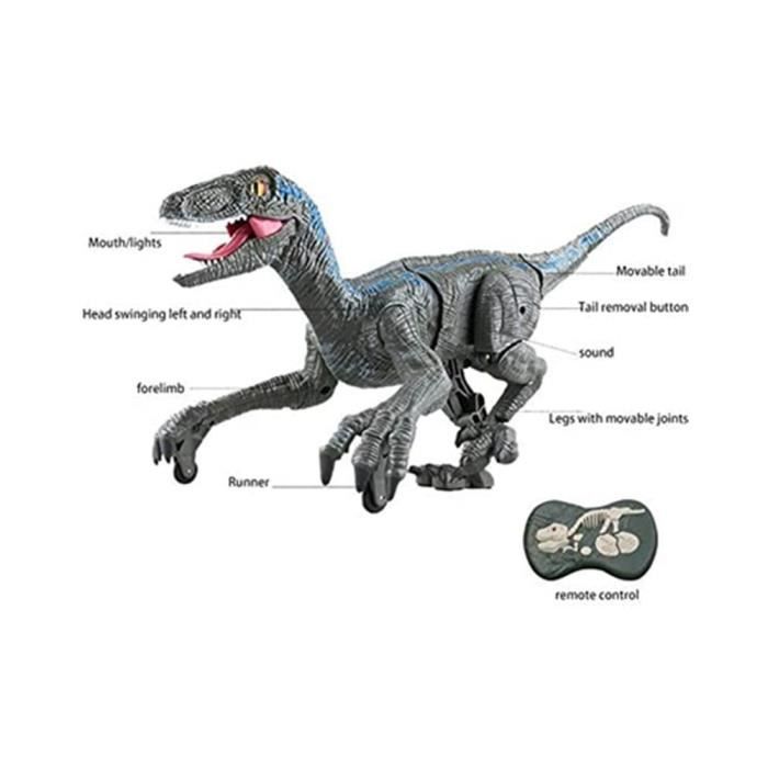 Jouet télécommandé dinosaure Raptor Jurassic, 2.4G, jouet de dinosaure avec  lumière LED, cadeau pour enfant-gris