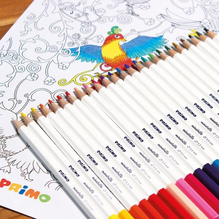 PRIMO Crayon de couleur couleurs assorties 3.8 mm pack de 24