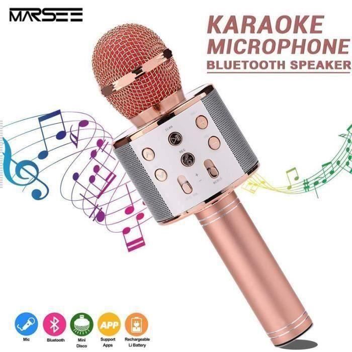 Portable WS 858 Microphones Sans Fil Microphones Sans Fil Bluetooth Karaoke  KTV Player Avec Micro Micro USB Rechargeable Radio Radio FM Pour Enfants  Jouets Pour Enfants Du 6,81 €